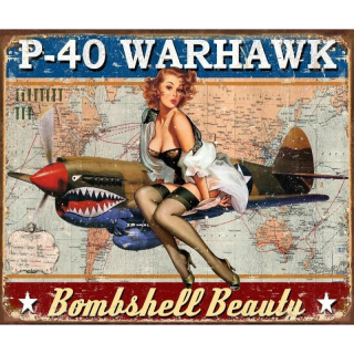 Plechová cedule P-40 Warhawk